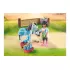 71497 Playmobil Paardentherapeut