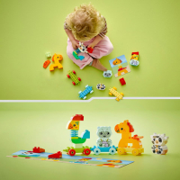 DUPLO 10412 Dierentrein