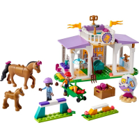 LEGO 41746 Paardentraining