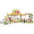 LEGO 41444 Friends Heartlake City Biologische Caféspeelset, Eco Educatieve Set voor kinderen 6+