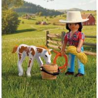 Playmobil 72026 Duopack Ruiter En Paard