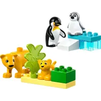 LEGO DUPLO Wilde dieren – Pinguïns en leeuwen 10442