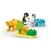 LEGO DUPLO Wilde dieren – Pinguïns en leeuwen 10442