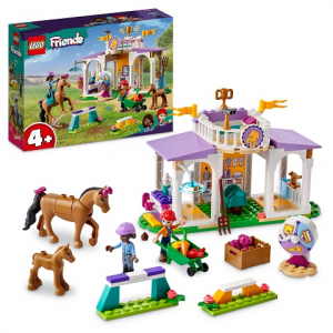 LEGO 41746 Paardentraining